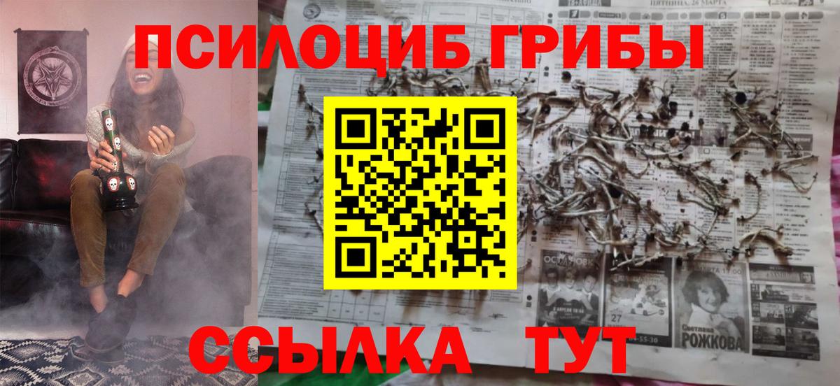 Псилоцибиновые грибы прущие грибы Асино