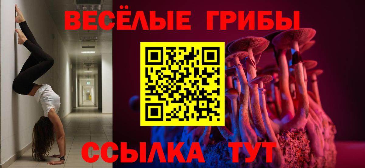 Асино  Галлюциногенные грибы прущие грибы  Вход с VPN 